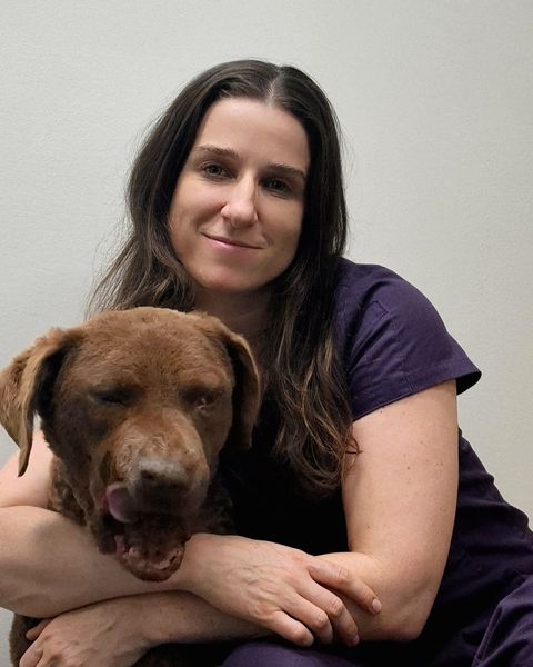 Kellie, Veterinarian at CQ Animal Emergency